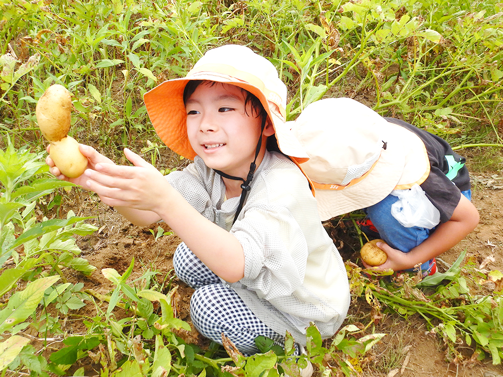 野菜収穫体験